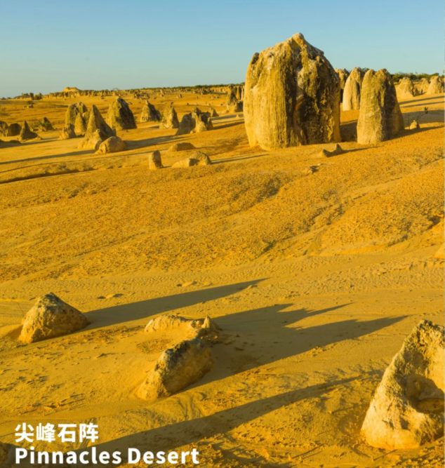 202512181513-5258386670.png image.png