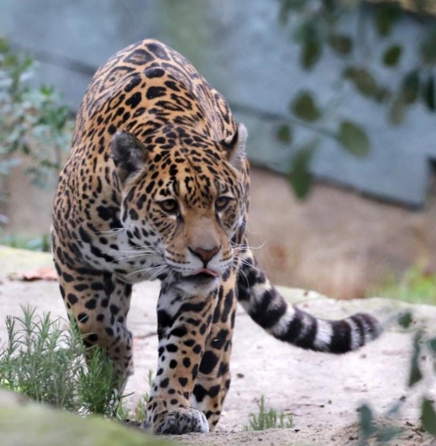 202512181722-2180996771.jpg DM_20251218171816_003.jpg