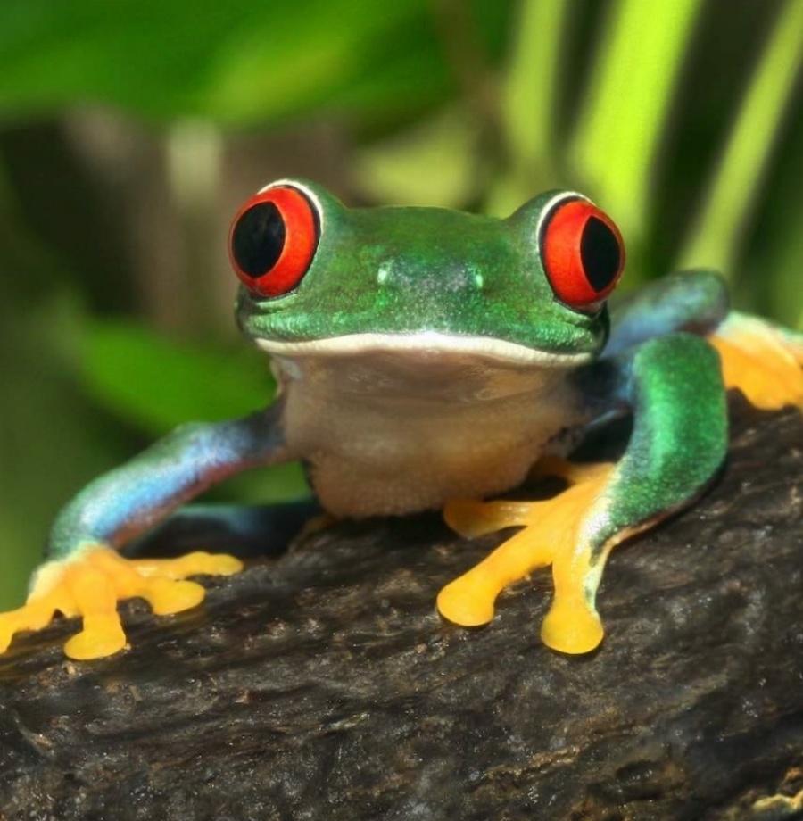 202512181722-5941689304.jpg DM_20251218171816_005.jpg