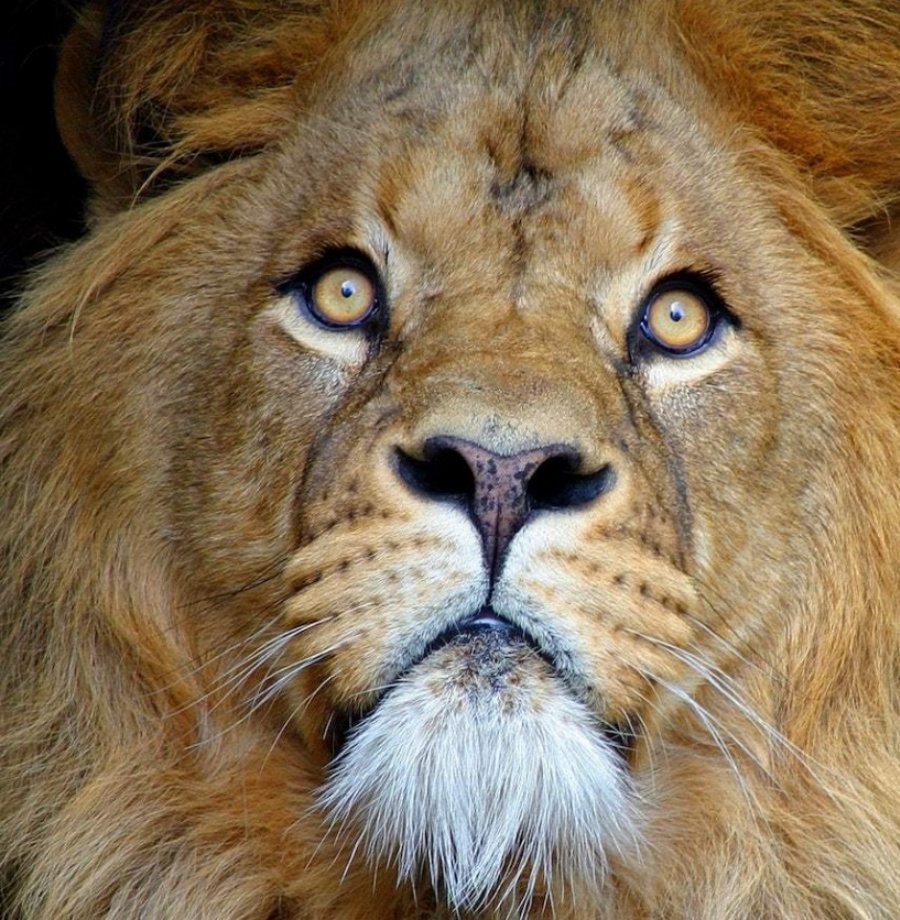 202512181722-7390466967.jpg DM_20251218171816_006.jpg