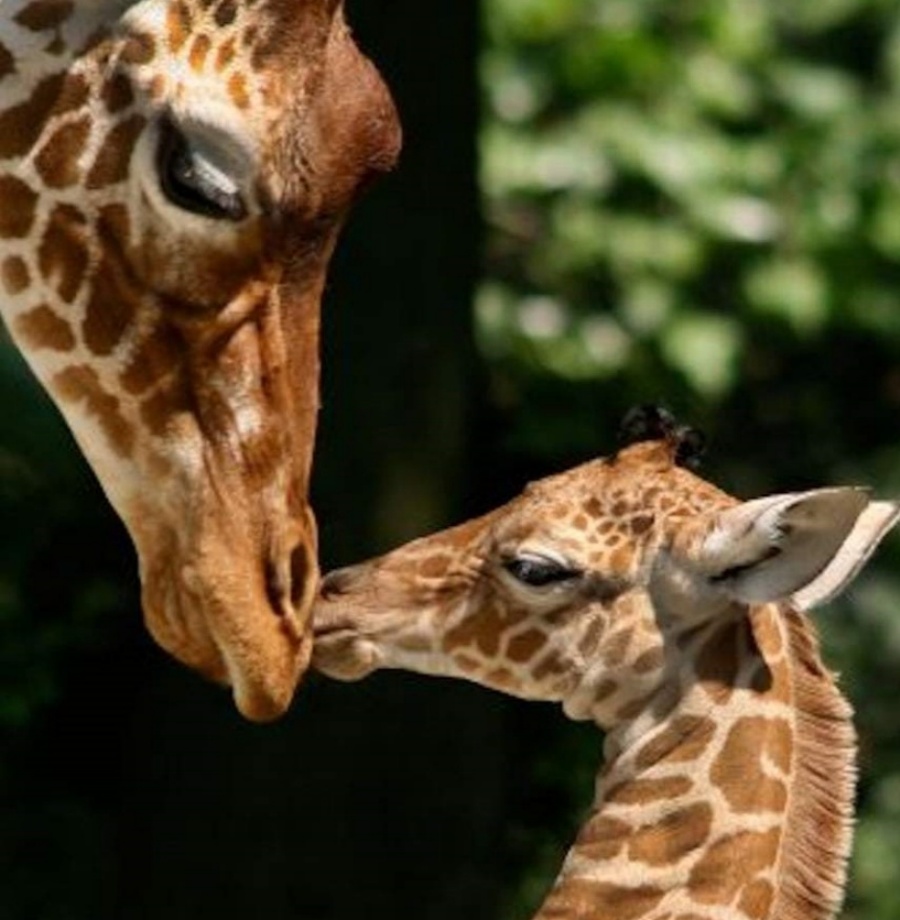 202512181722-9154813121.jpg DM_20251218171816_004.jpg