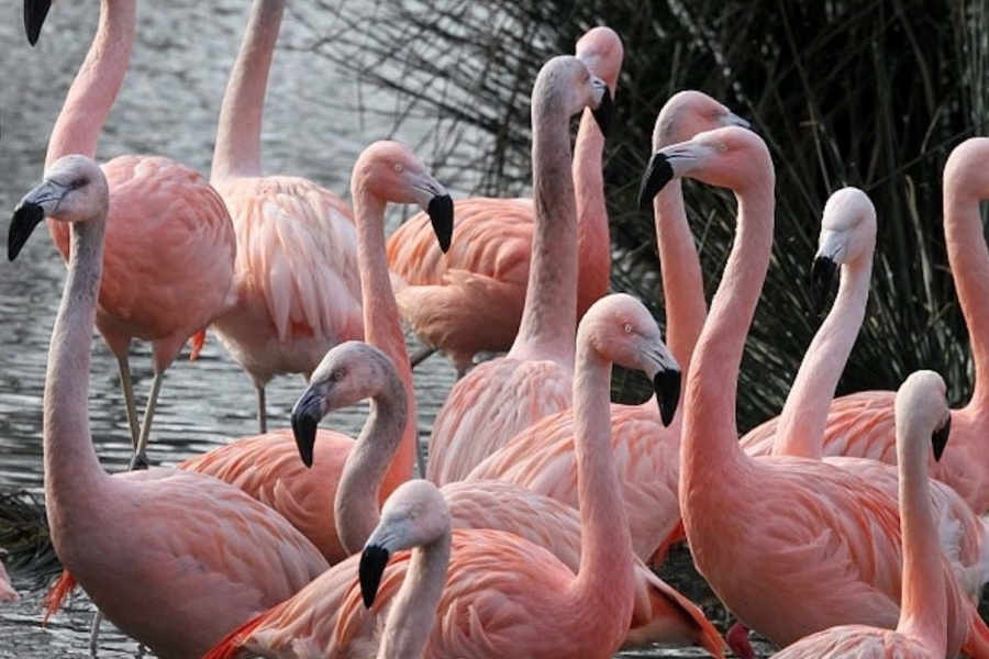 202512181722-9524886720.jpg DM_20251218171816_002.jpg