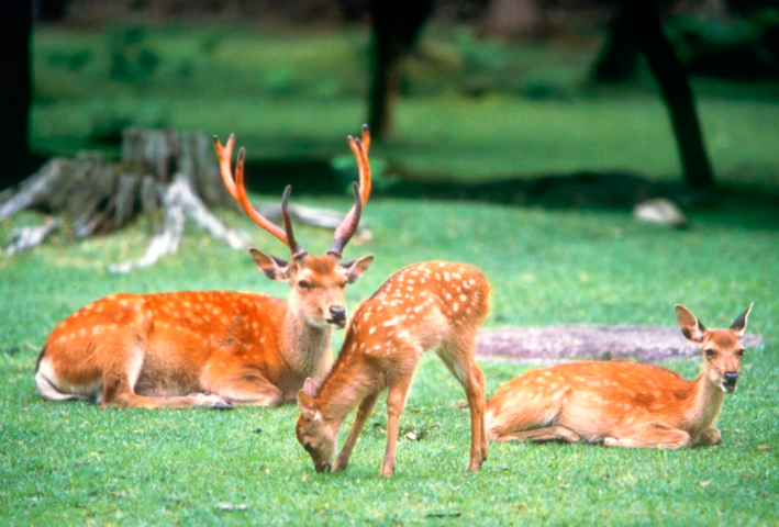 202512190927-6087248525.png 企业微信截图_1766107529592.png