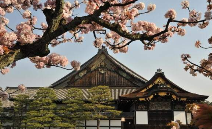 202512190928-7128537759.png 企业微信截图_17661075695934.png