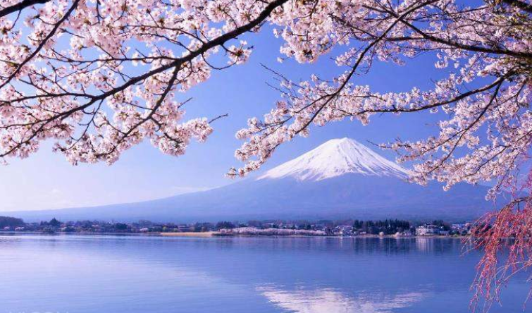 202512191018-6017620847.png image.png