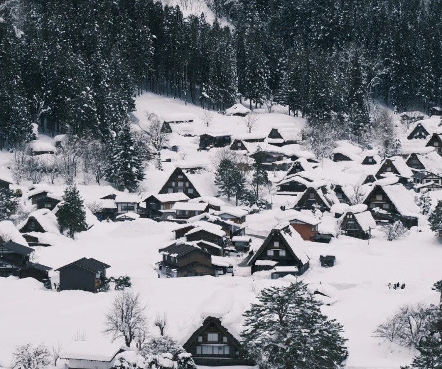 ❄️_日本高山｜冬天一定要去一次飞驒之里_4_福宝带你游霓虹🌈_来自小红书网页版.jpg