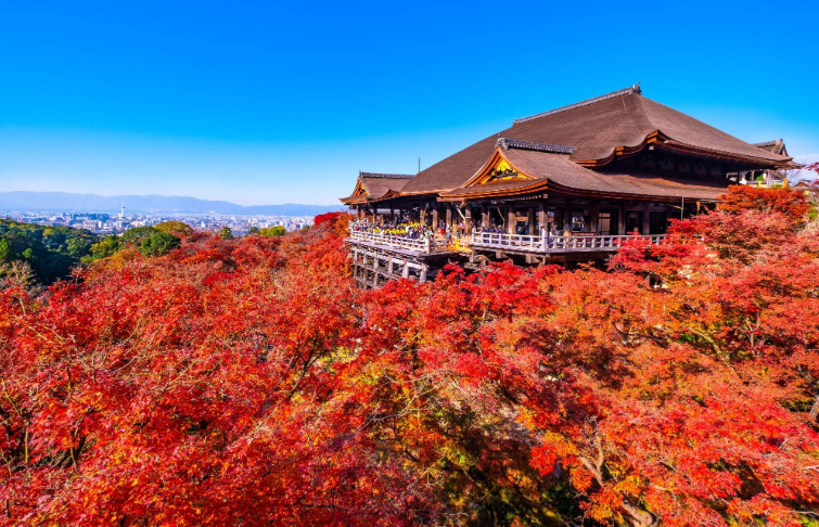 202512191106-1520775407.png image.png