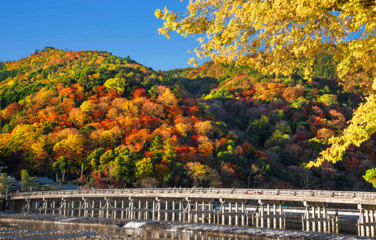 202512191106-2060541014.png image.png