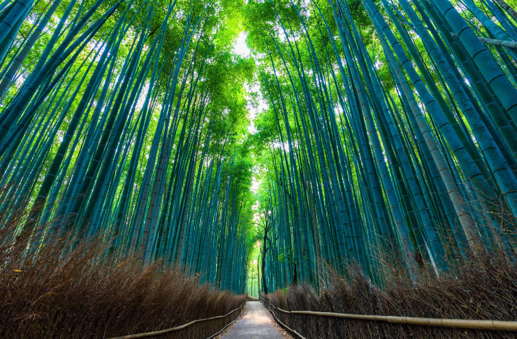 202512191106-6141860287.png image.png