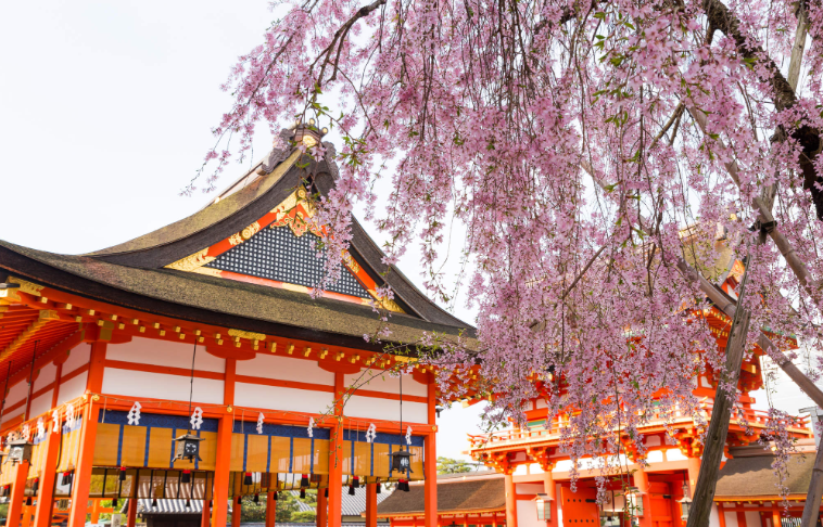 202512191107-5783823489.png image.png