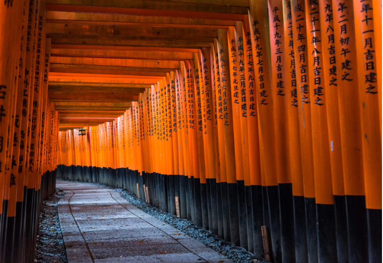 202512191107-8586645142.png image.png