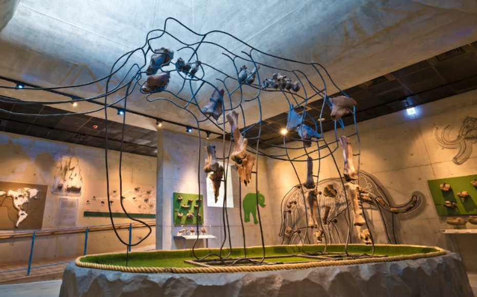 202512191607-6243008445.jpg undefined (3).jpg