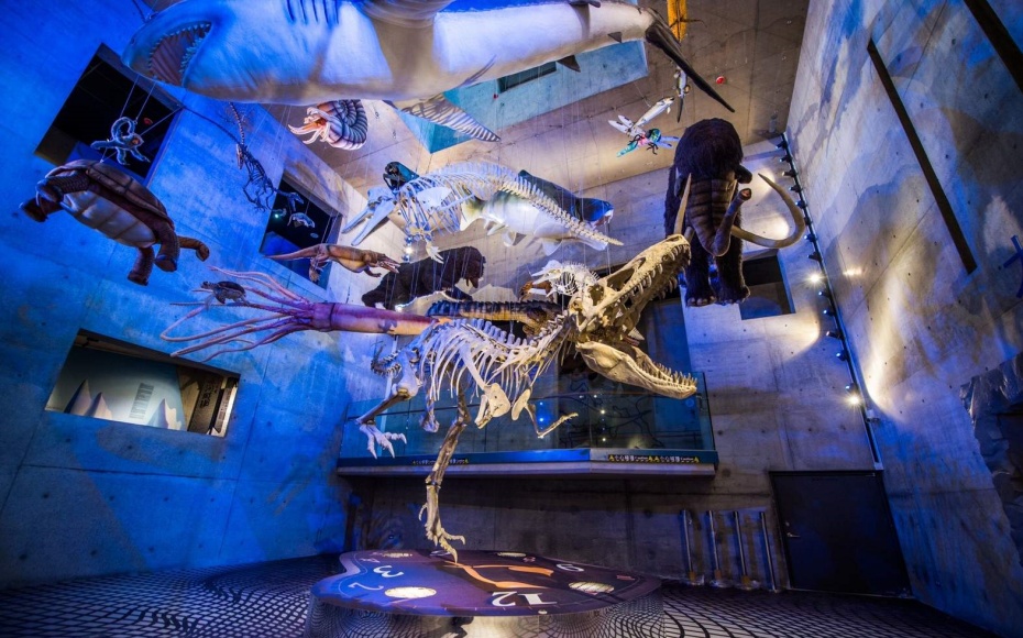 202512191607-6854201512.jpg undefined.jpg