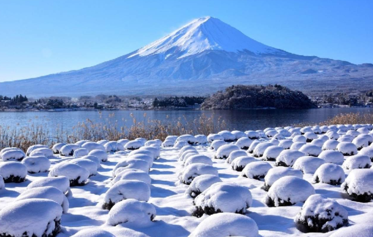 202512200917-3110037546.png image.png