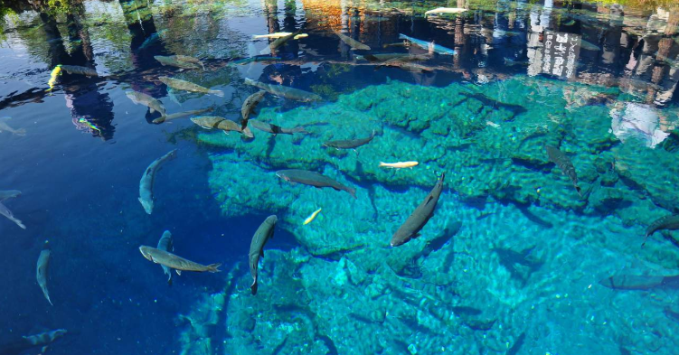 202512200917-9187670677.png image.png