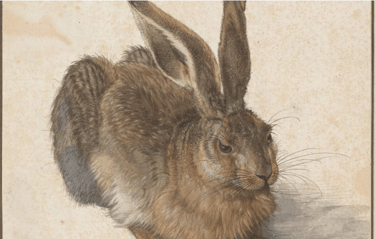 202512201016-4784071524.png image.png