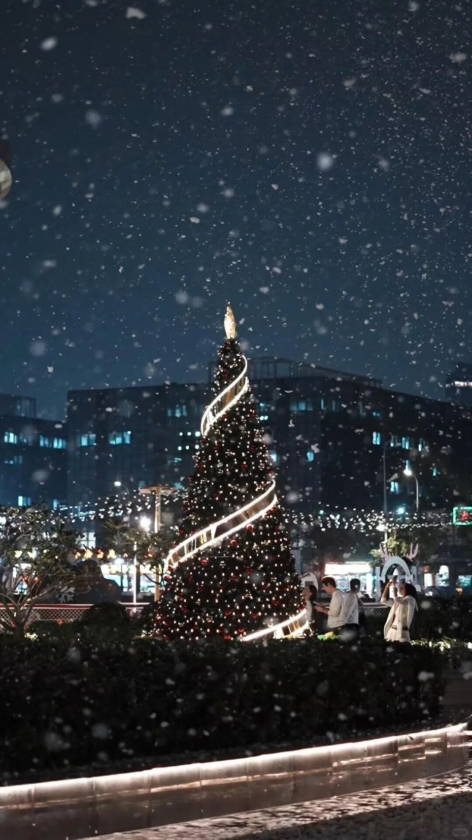 微信图片_2025-12-22_135356_821 (1).jpg