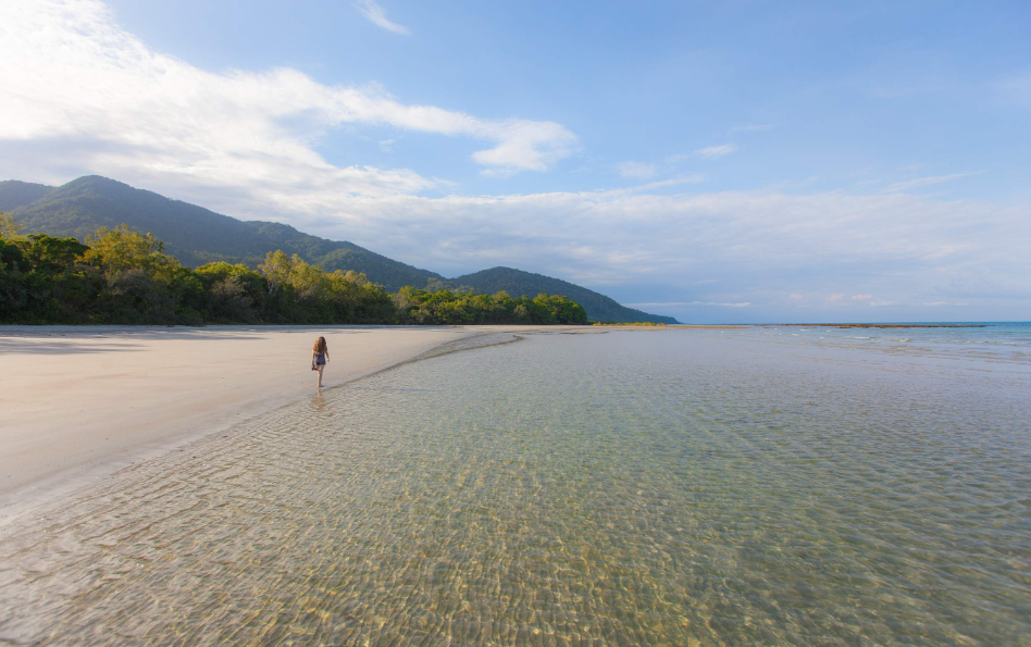 202512231335-3738934899.png image.png