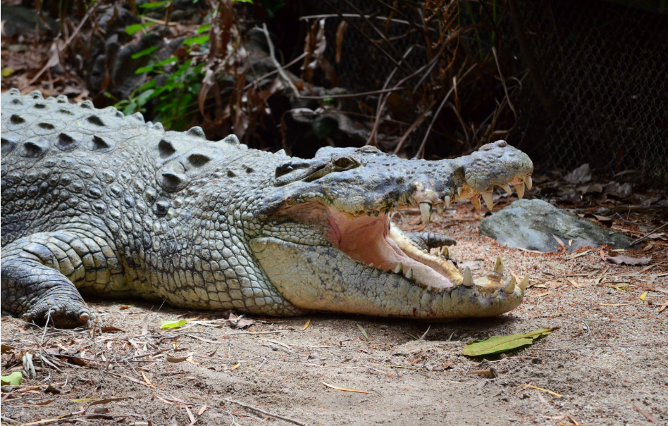 202512231336-2444960681.png image.png