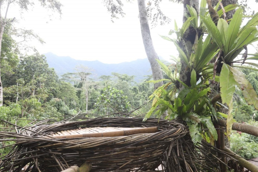 202512241457-9619775440.jpg DM_20251224145638_003.jpg