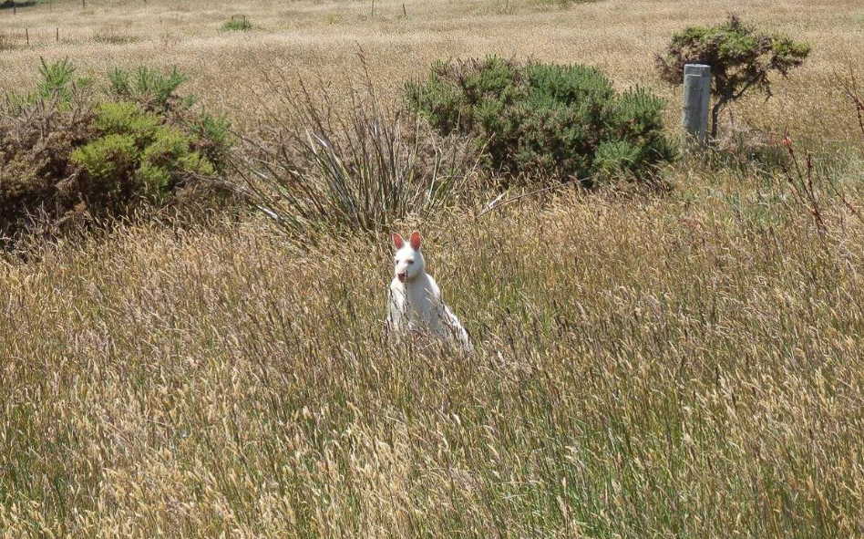 202512251121-4515333687.png image.png