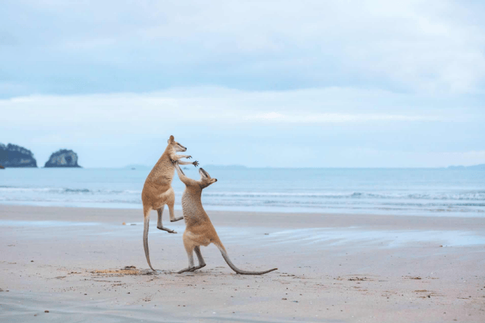 202512251505-1433644208.png image.png