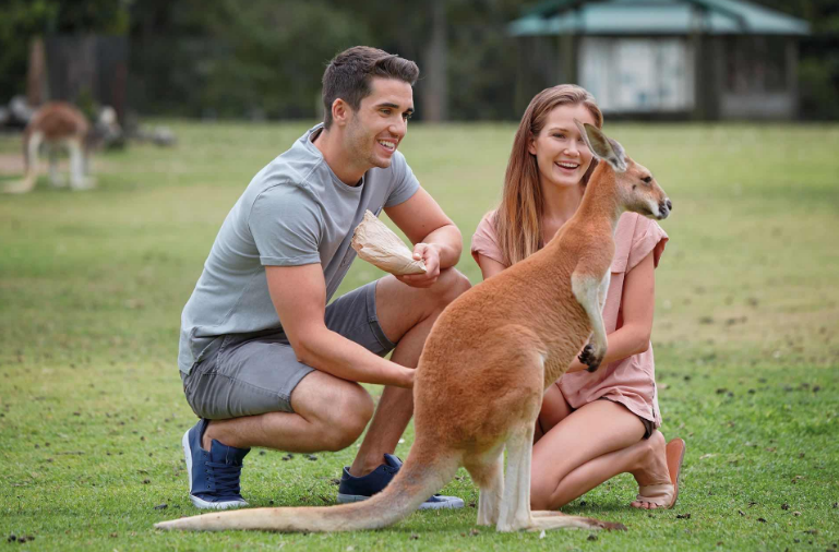 202512251505-5496903837.png image.png