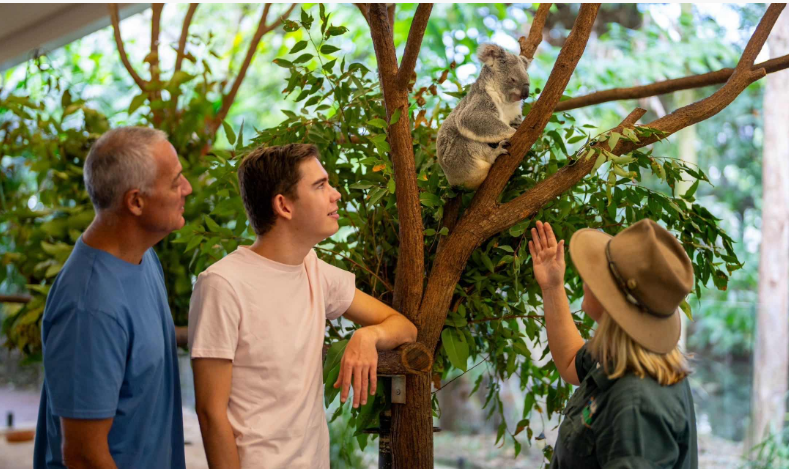 202512251505-9131867332.png image.png