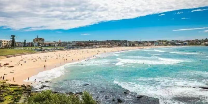 202512251517-1798575946.png image.png