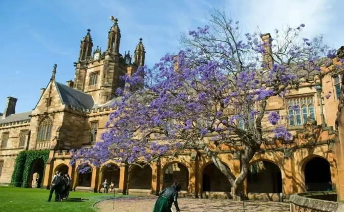 202512251517-5094193700.png image.png