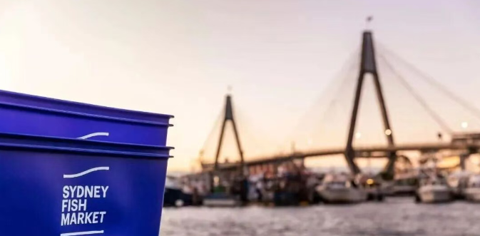 202512251517-9194174950.png image.png