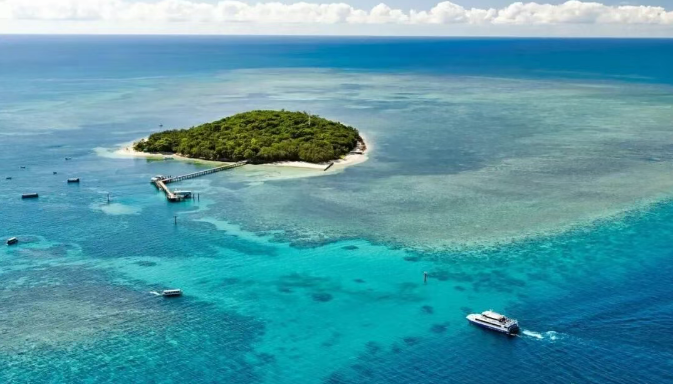 202512251518-7936345284.png image.png