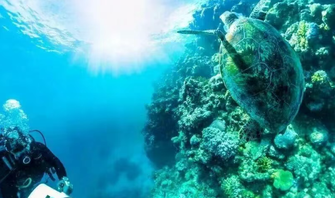 202512251519-8644757920.png image.png