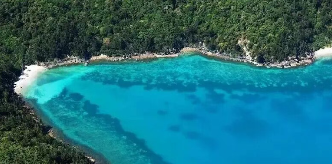 202512251519-8930566200.png image.png