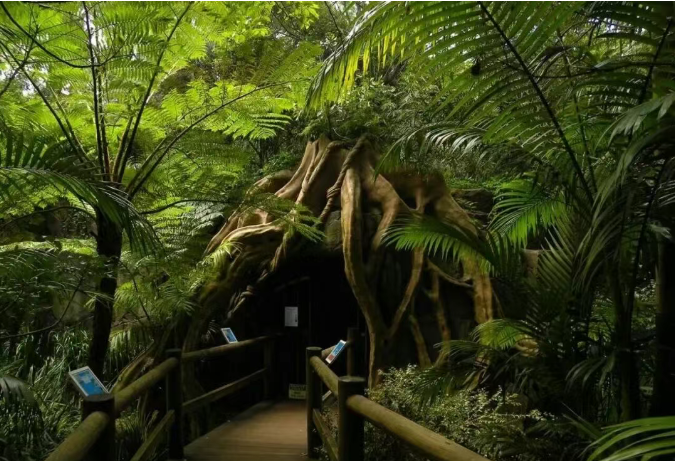 202512251520-6320896300.png image.png