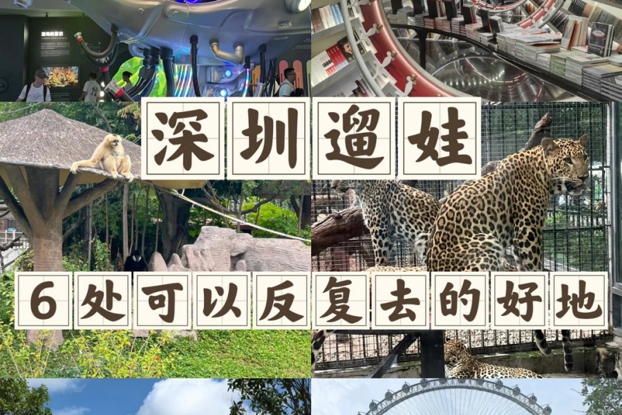 深圳遛娃❗6处可以反复去的好地，超省心！_1_奶爸遛娃记_来自小红书网页版.jpg