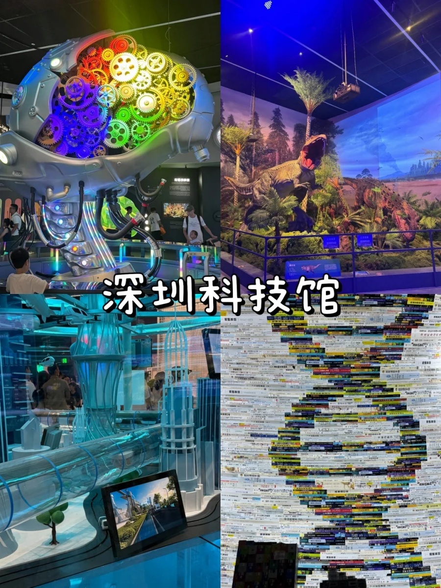 深圳遛娃❗6处可以反复去的好地，超省心！_2_奶爸遛娃记_来自小红书网页版.jpg