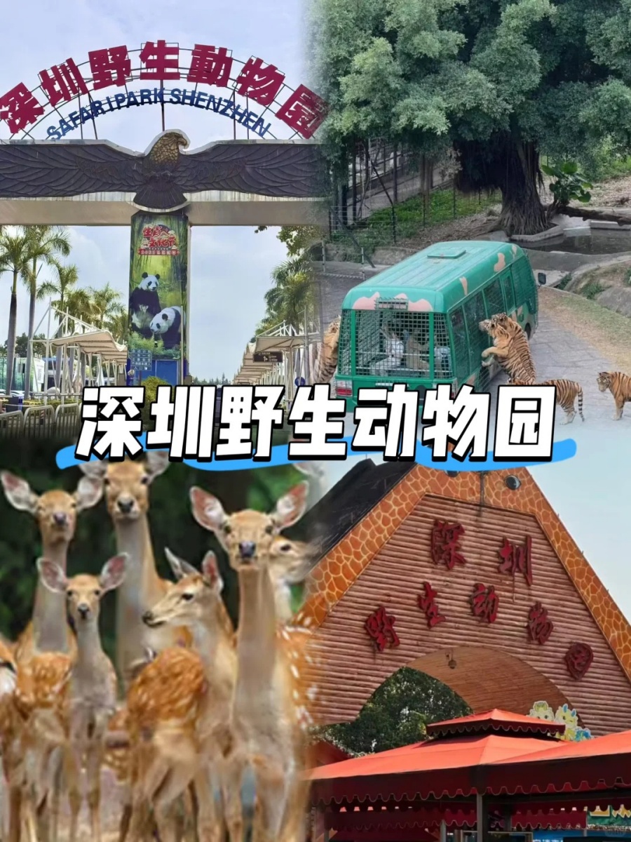 深圳遛娃10大圣地，人文科技海边山野全攻略_3_Eva遛娃不遛弯（Me7name）_来自小红书网页版 (1).jpg