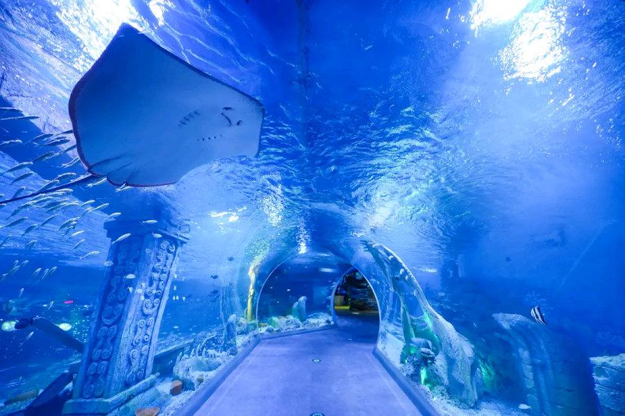 微信图片_20251226102051_49_19 (1).png