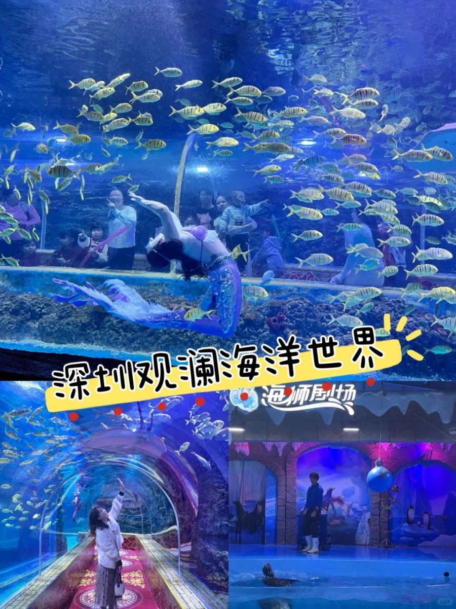 深圳观澜海洋世界！3小时行程+停车攻略_1_Amo_._Lin💓_来自小红书网页版.jpg