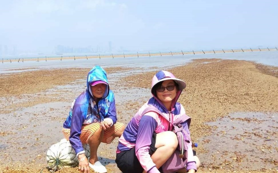 202512261044-1852443766.jpg undefined (1).jpg