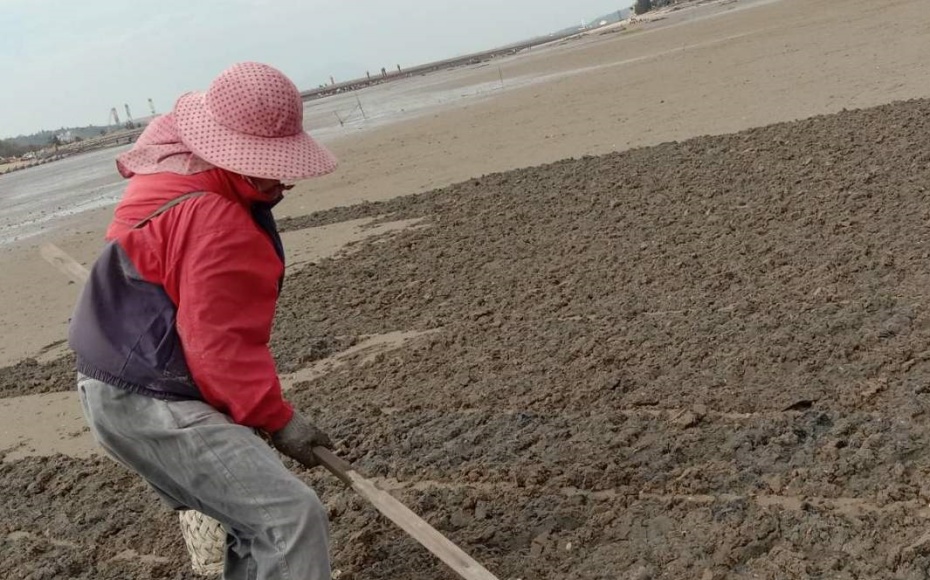 202512261044-4821762375.jpg undefined (2).jpg