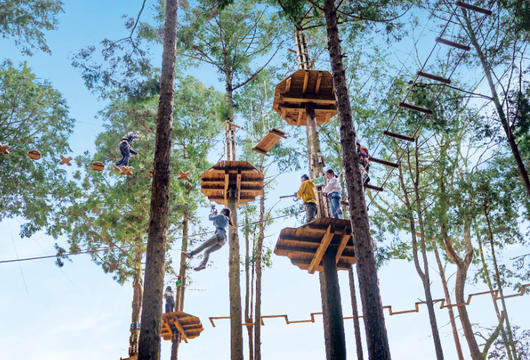 202512261148-6331958016.png image.png