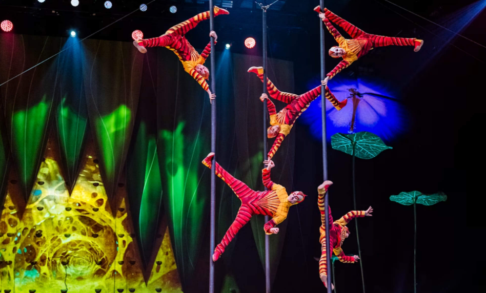 202512261331-7384110046.png image.png