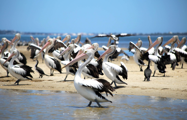 202512261343-4308993176.png image.png