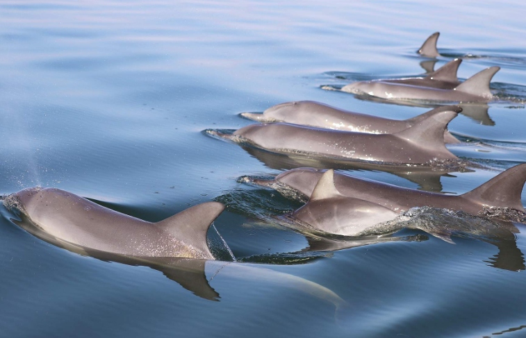 202512261344-8594982624.png image.png