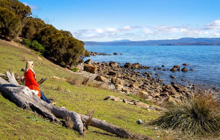 202512261445-5771204020.png image.png