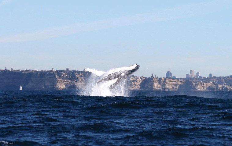 202512261602-1561247504.png image.png