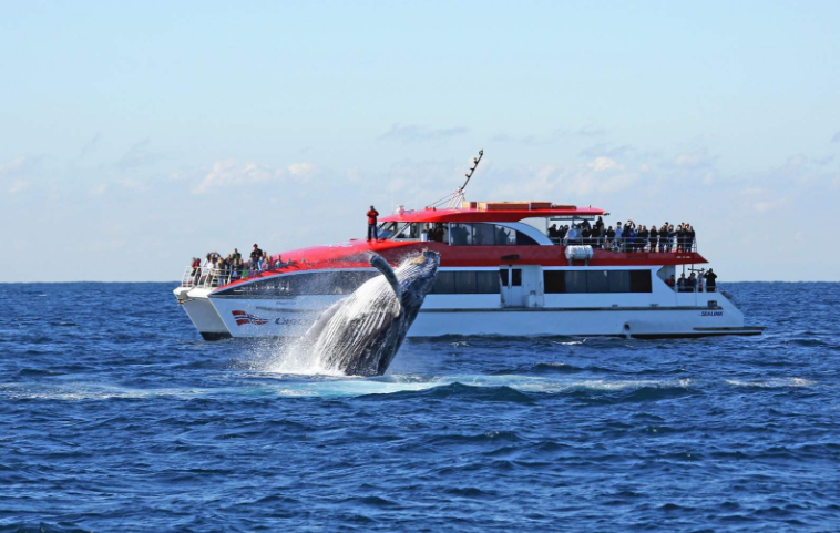 202512261603-1383363538.png image.png