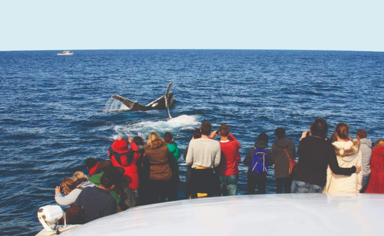 202512261603-6418739360.png image.png